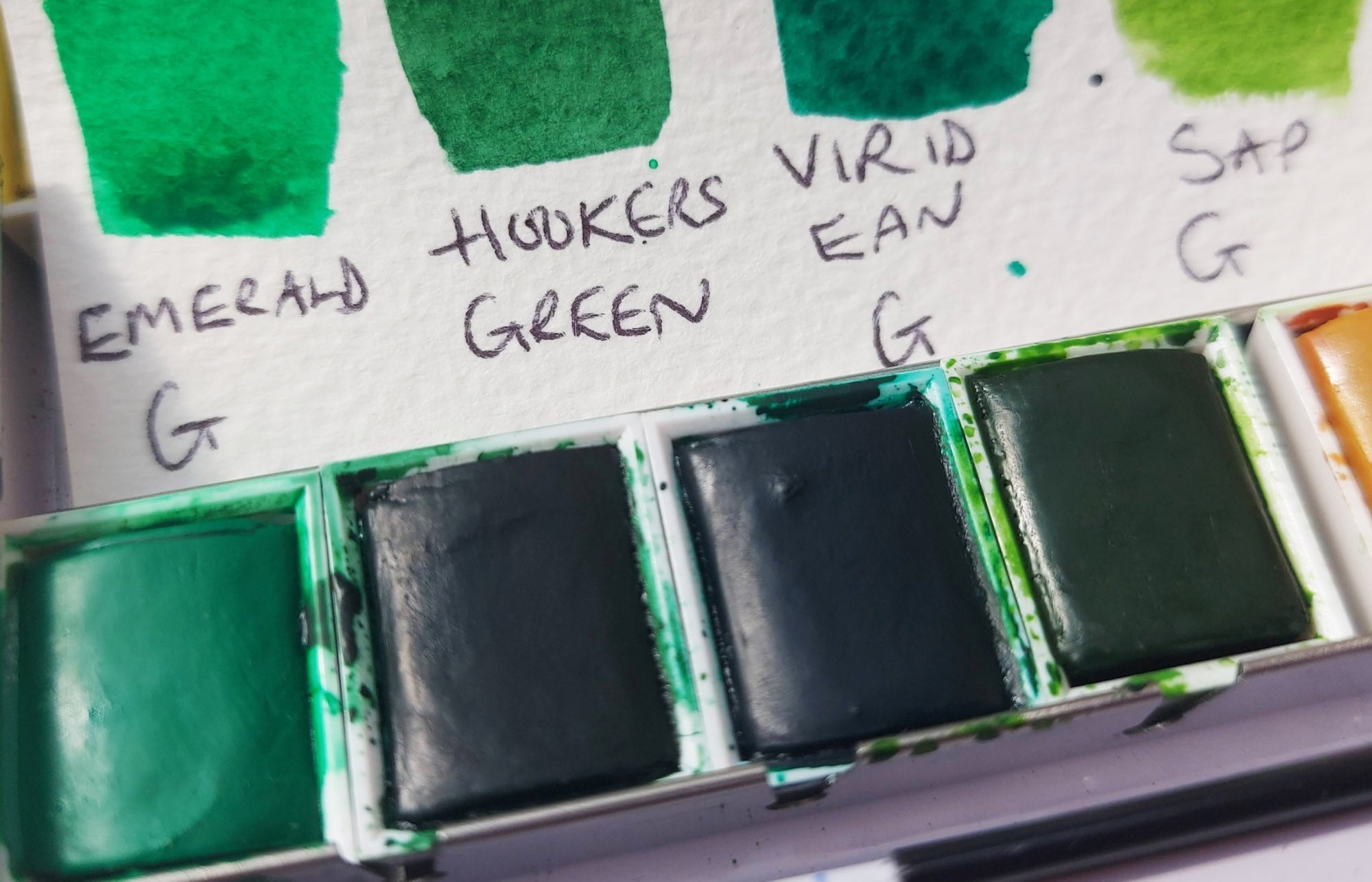 A set of half pan watercolours but focusing on the colour green.