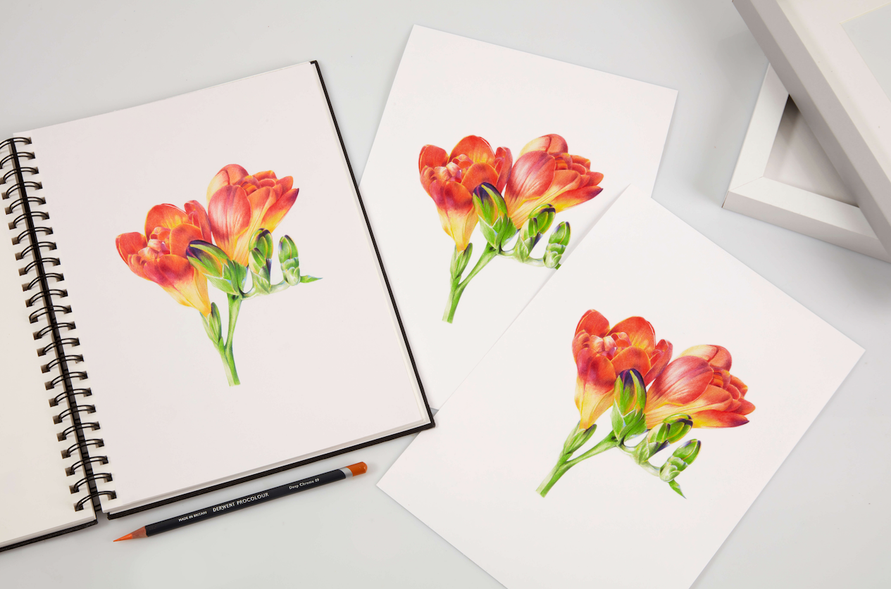 Learn about Derwent Procolour pencils