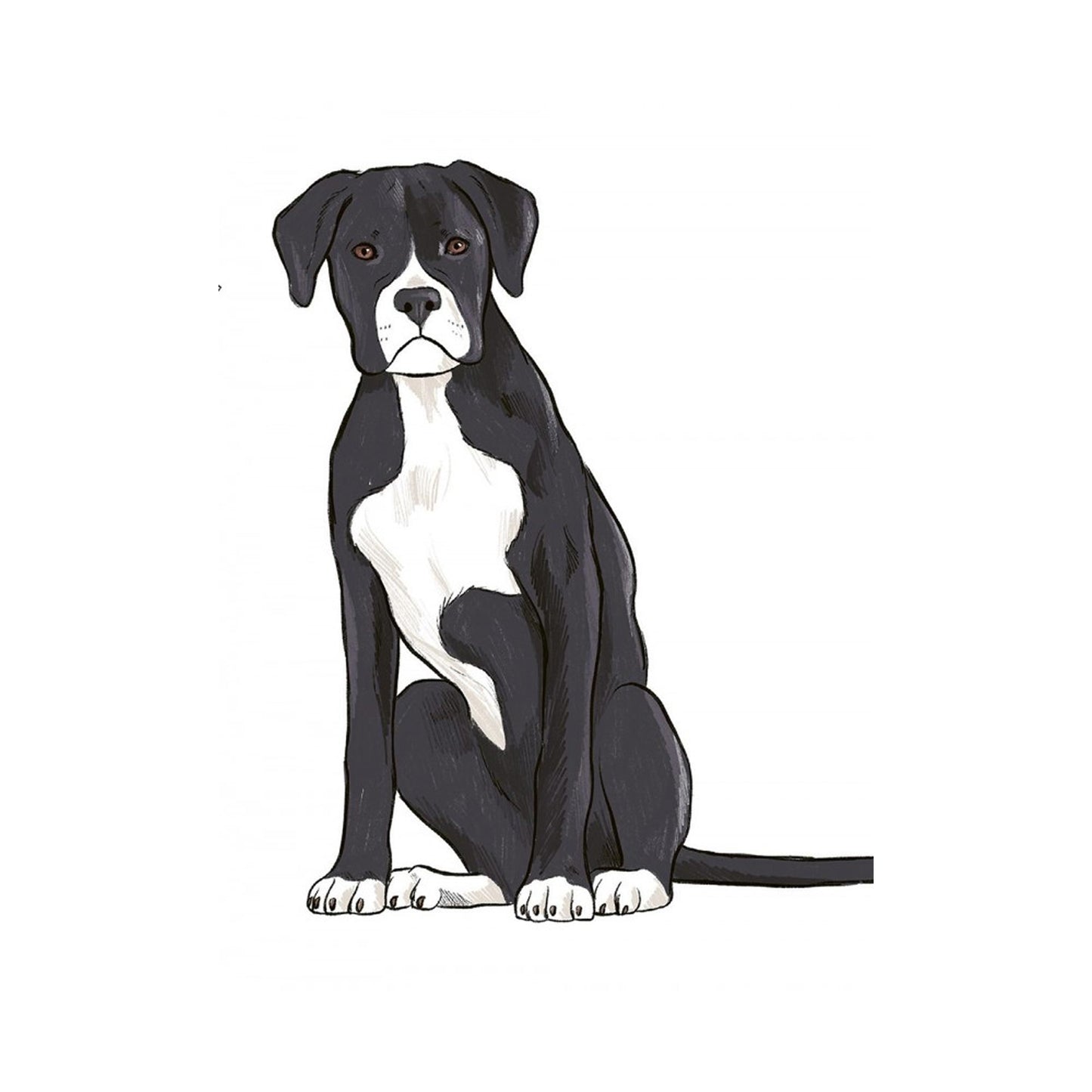 10 Step Drawing: Dogs - J. Lecouffe - Sample Illustration