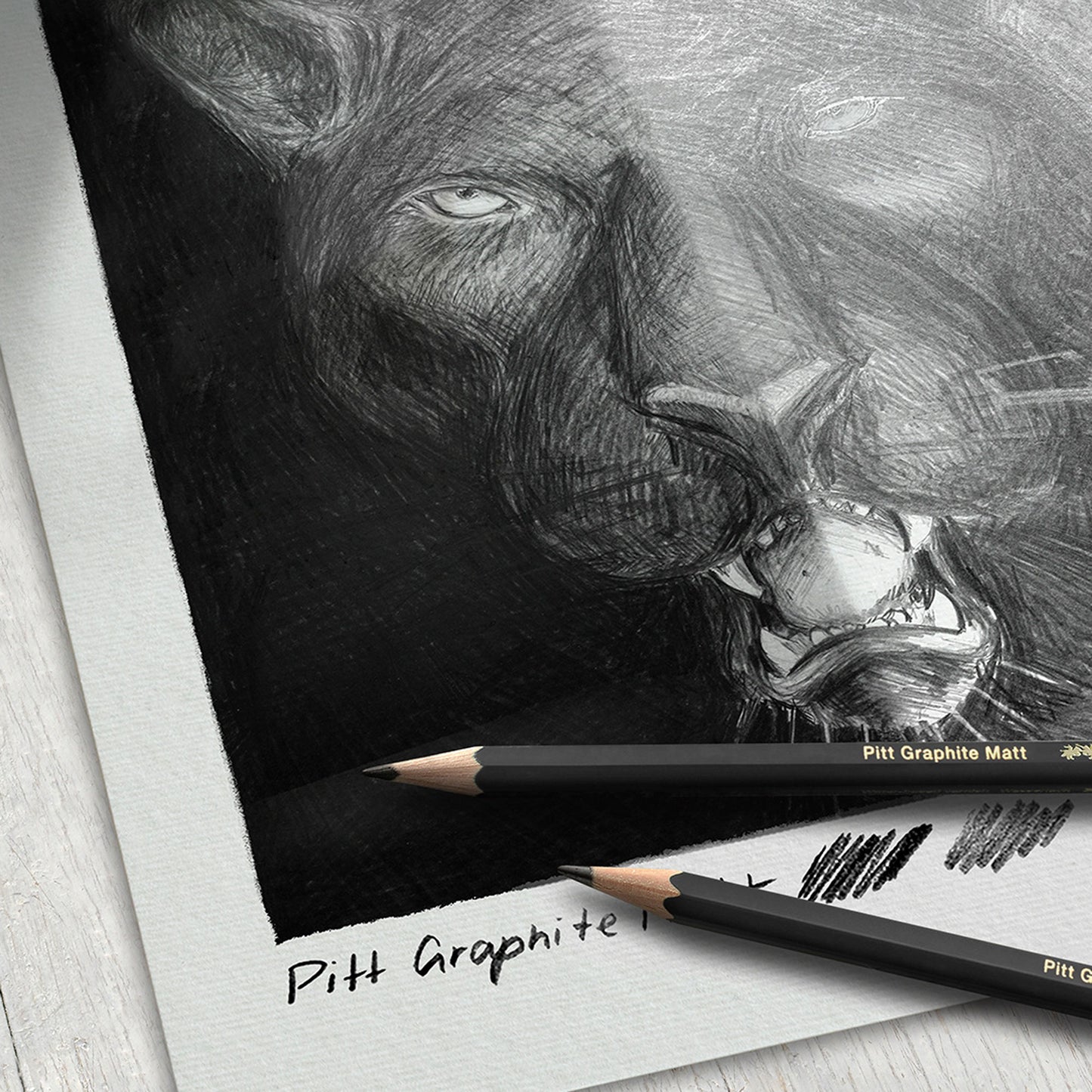 Faber-Castell Pitt Graphite Matt Pencil Set - Sample illustration closeup