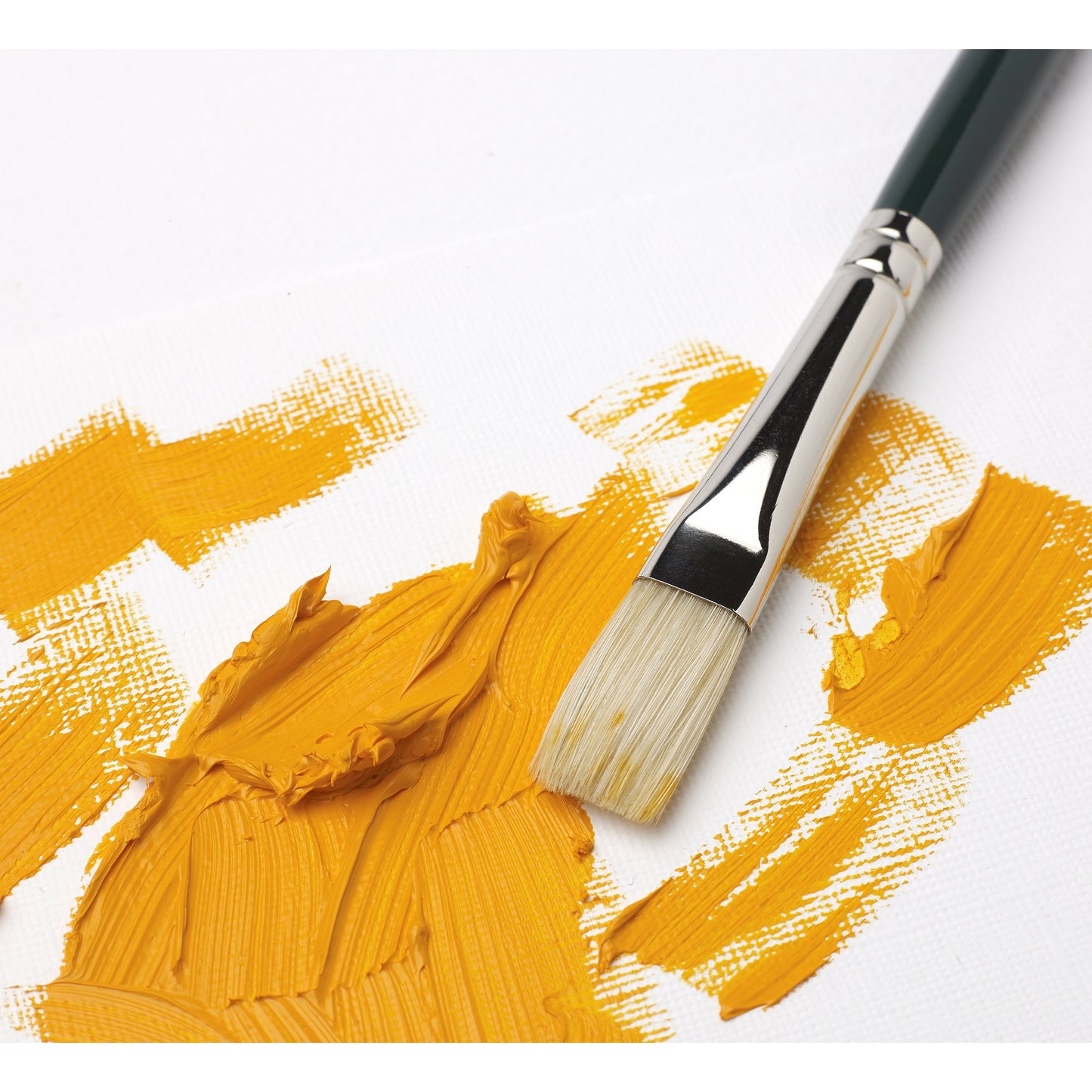 Winton Hog brushes are meticulously crafted for Winton Oil Colour enthusiasts.