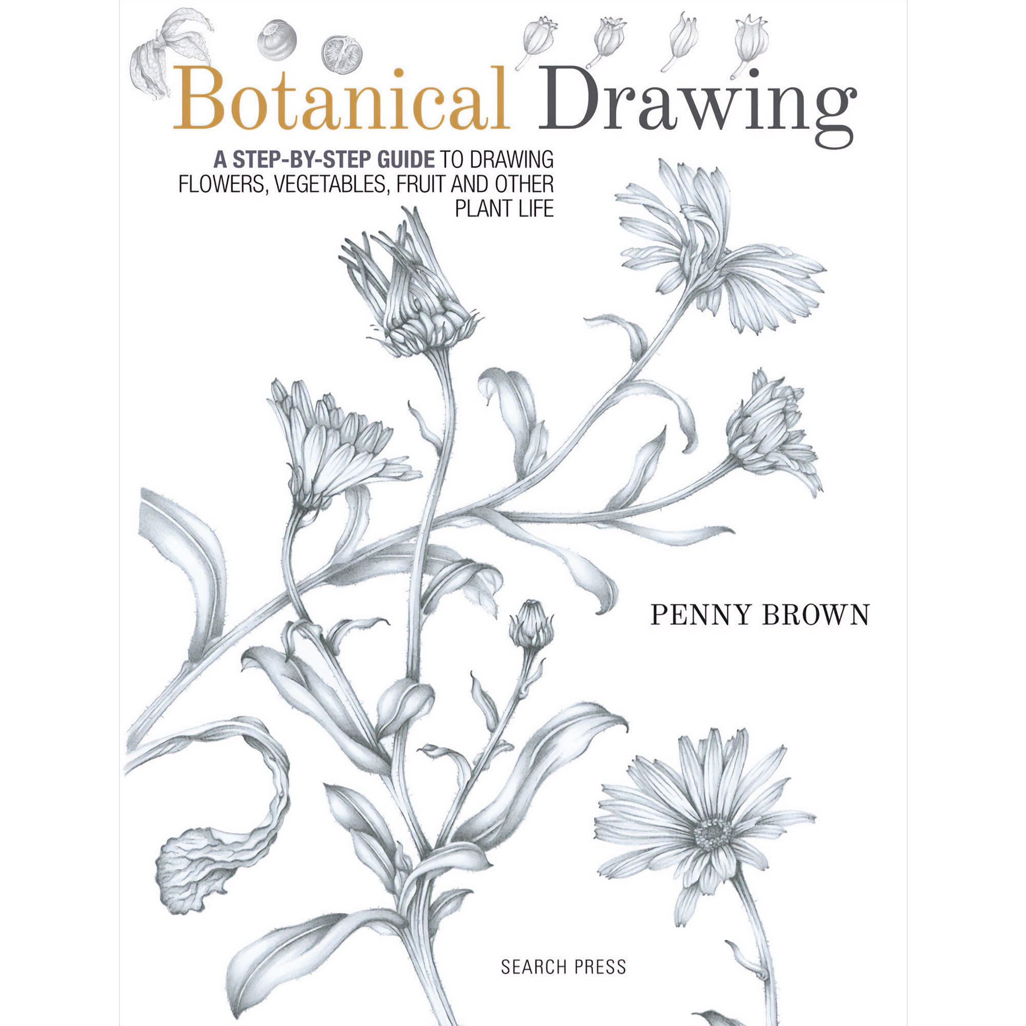Botanical Drawing - Penny Brown Book Cover