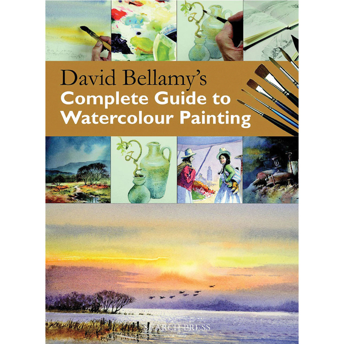 David Bellamy&#39;s Complete Guide to Watercolour Painting