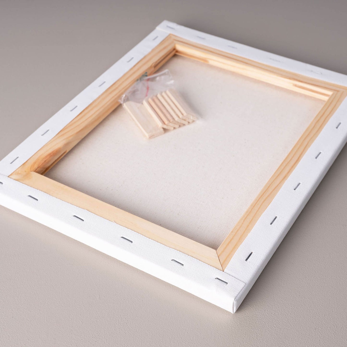 ARTdiscount Economy Standard Canvas back