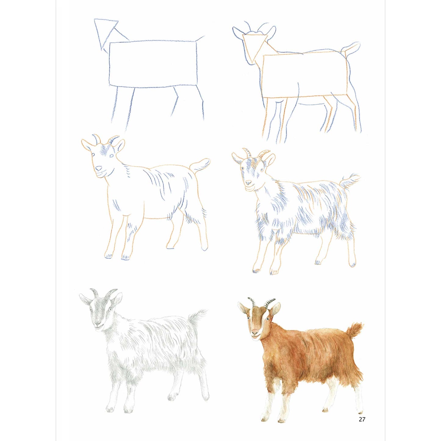 How to Draw: Farm Animals in Simple Steps - Sample Page of a Goat