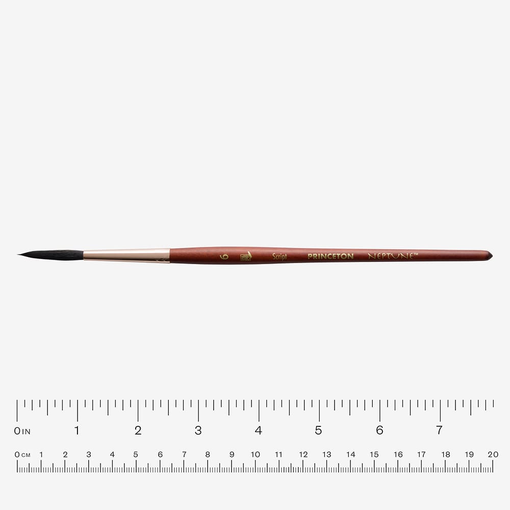 Princeton : Neptune : Faux Squirrel : Size 6 Script : 4750