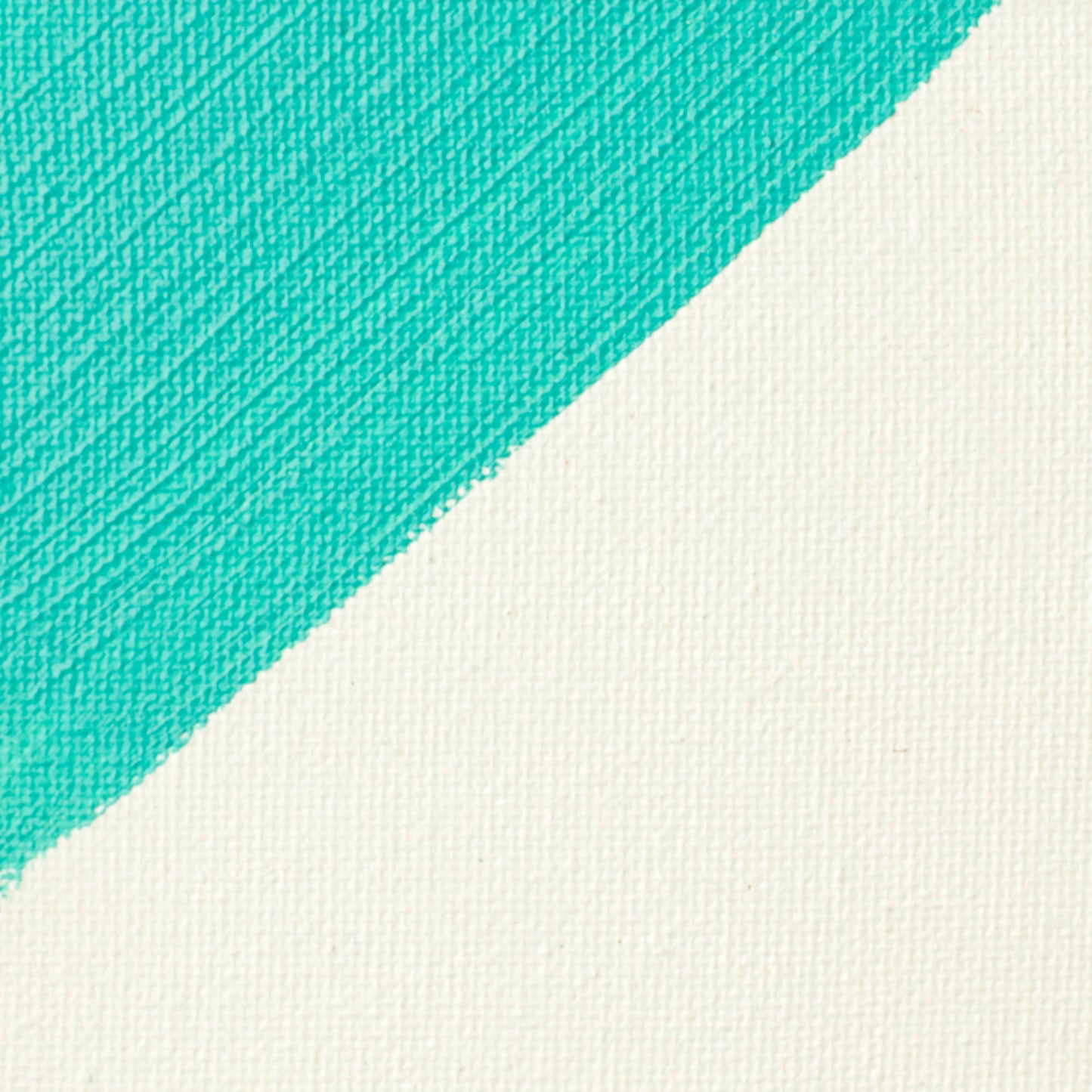 Liquitex Professional Clear Gesso Primer Example Photo