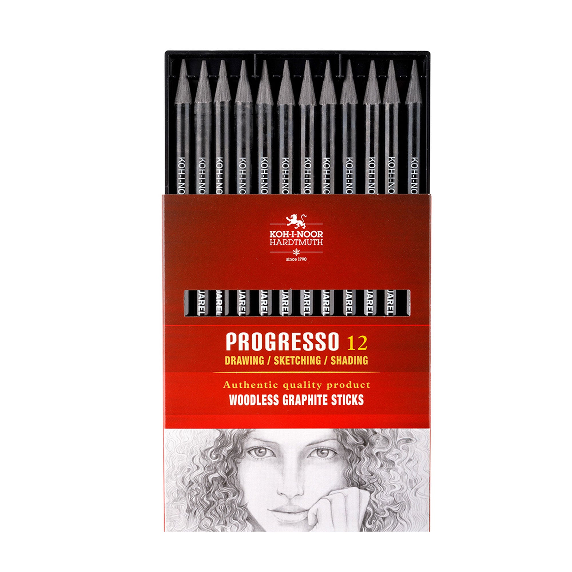 Kooh-i-Noor Progresso Aquarell Woodless Graphite Pencil Water Soluble