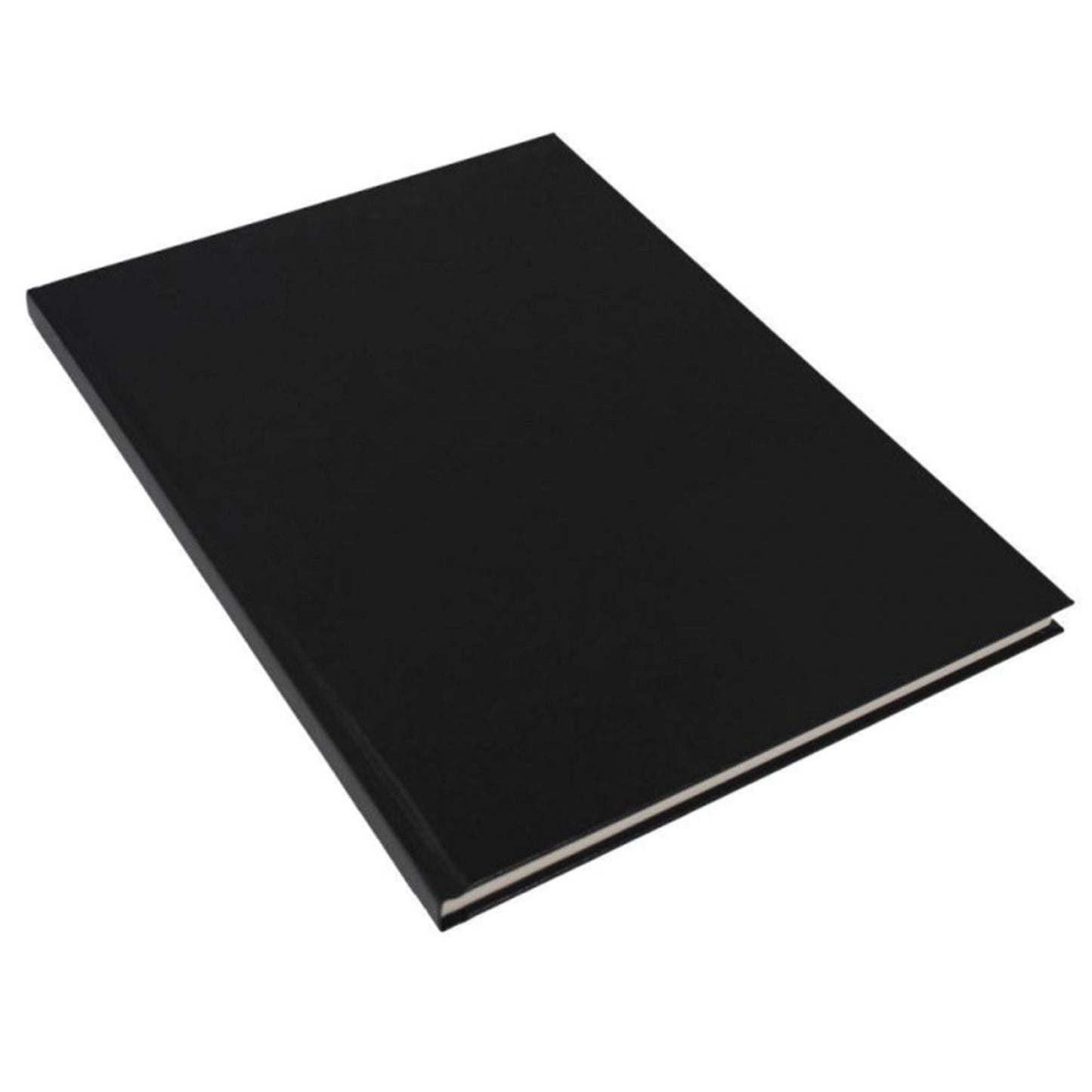 Winsor & Newton Heavy Weight Case Bound Sketch Book
