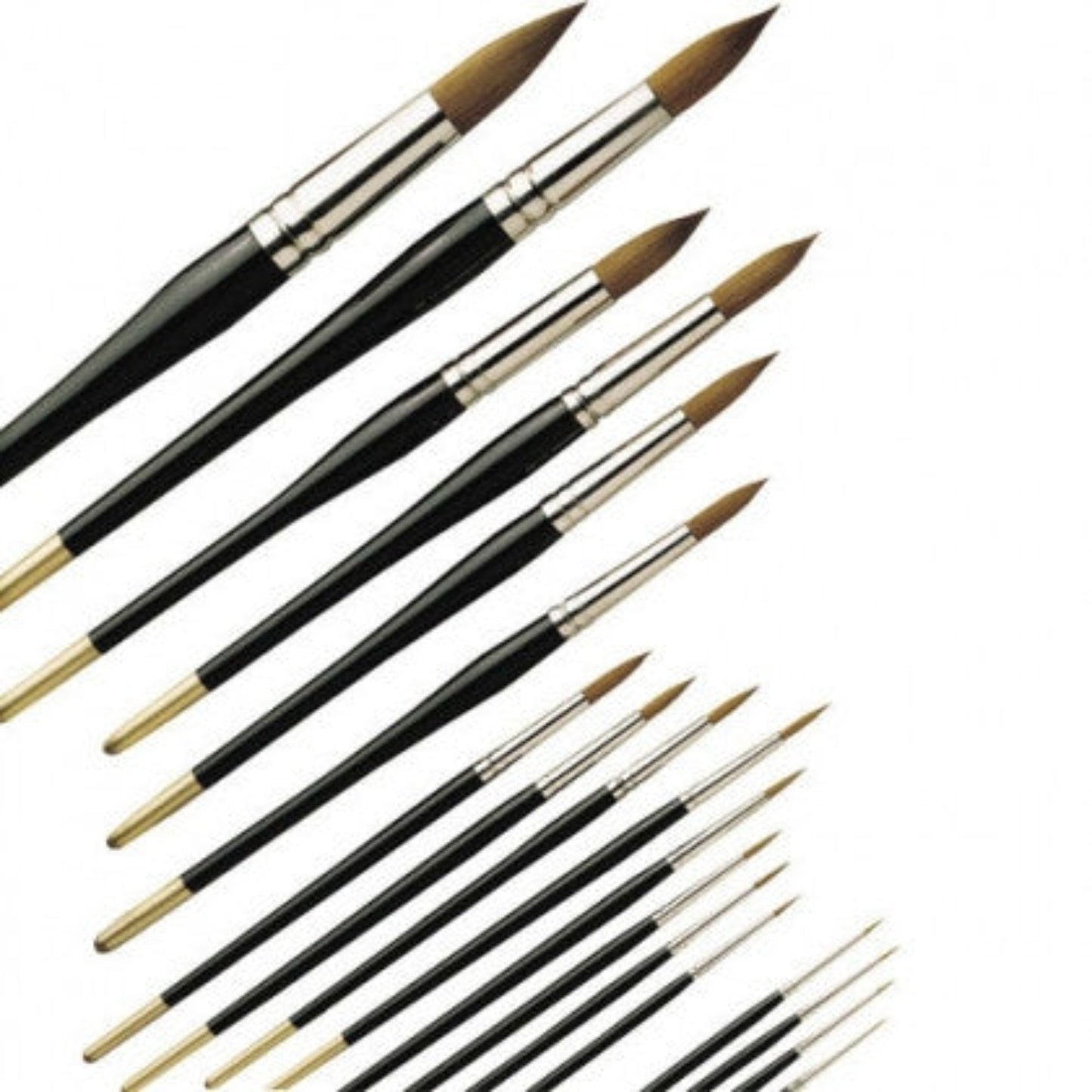 Pro Arte Prolene Round Series 101