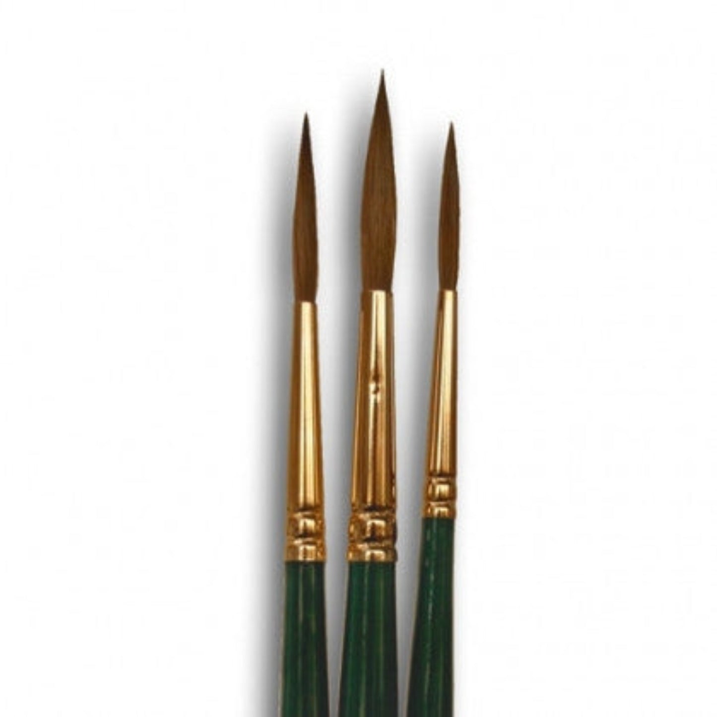 Pro Arte Renaissance Sable Rigger Closeup