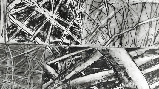 How to Use Charcoal in Art