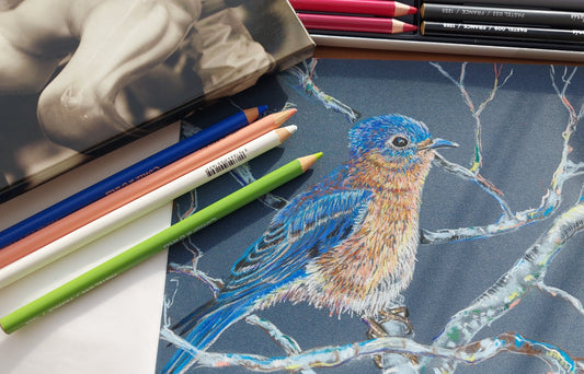 Drawing of a small blue feathered bird sitting on a branch on dark grey pastel mat paper using Conte a Paris pastel pencils