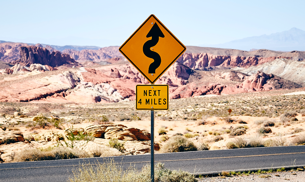 Wild... and rather wonderful! (part 2)