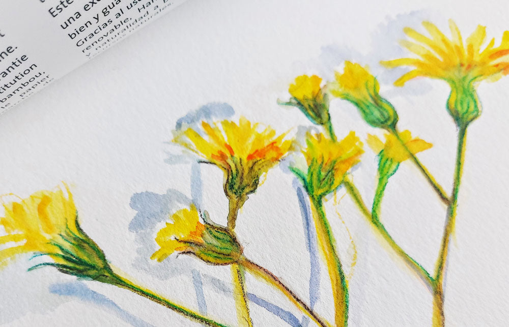 Exploring the Benefits of Hahnemühle Watercolour paper