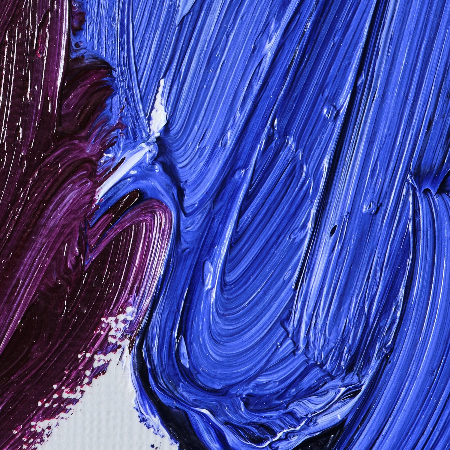 Winsor & Newton Oil Mediums