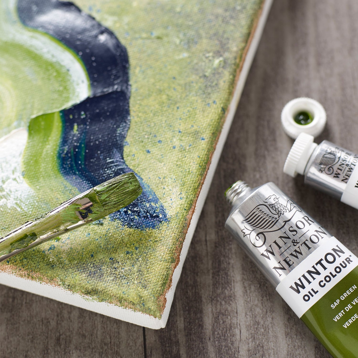 Winsor & Newton Winton Oil Paint