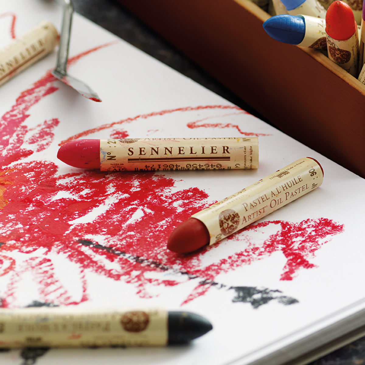 Coloured Oil and Chalk Pastels