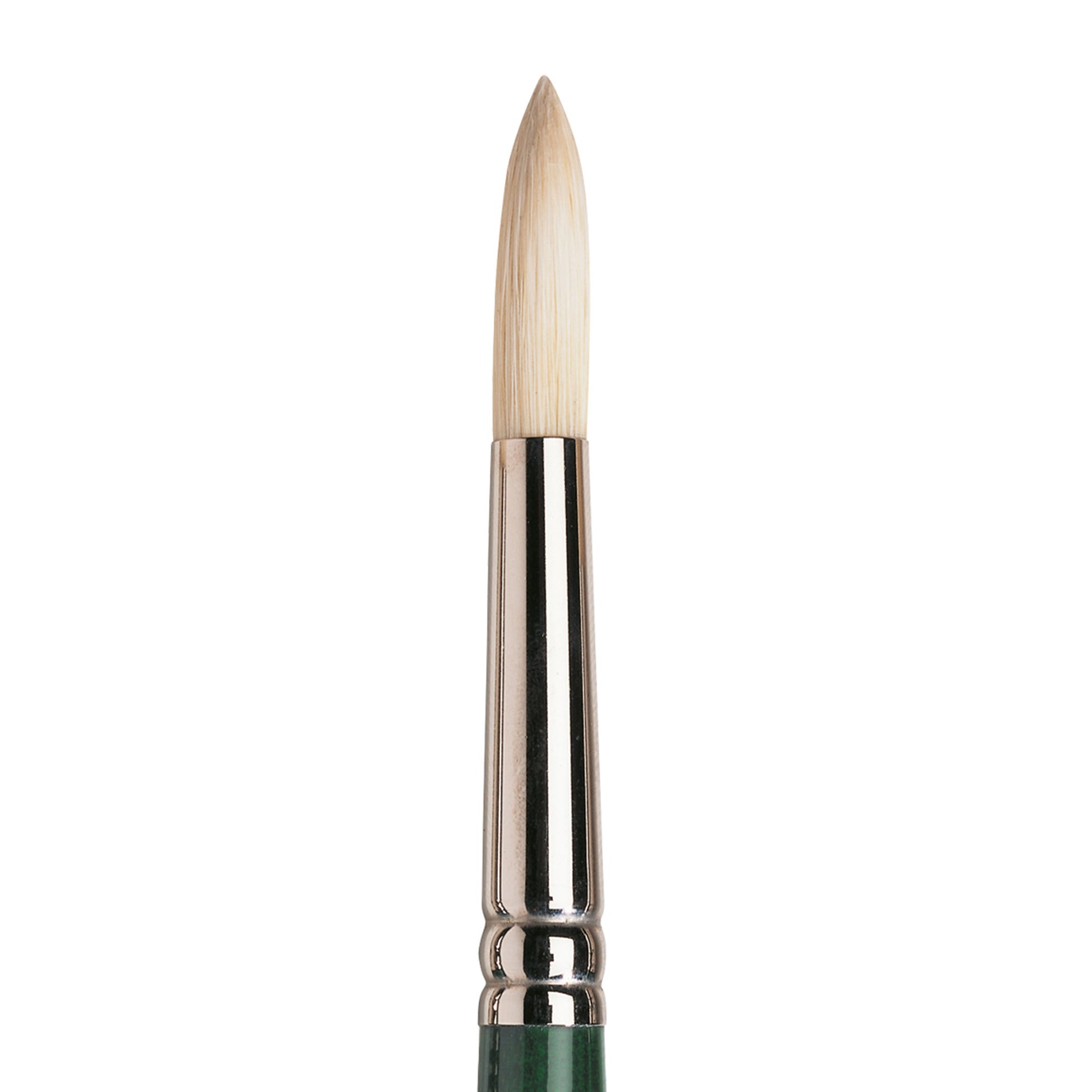 Winsor & Newton Winton Hog Brush - Round - Size 8