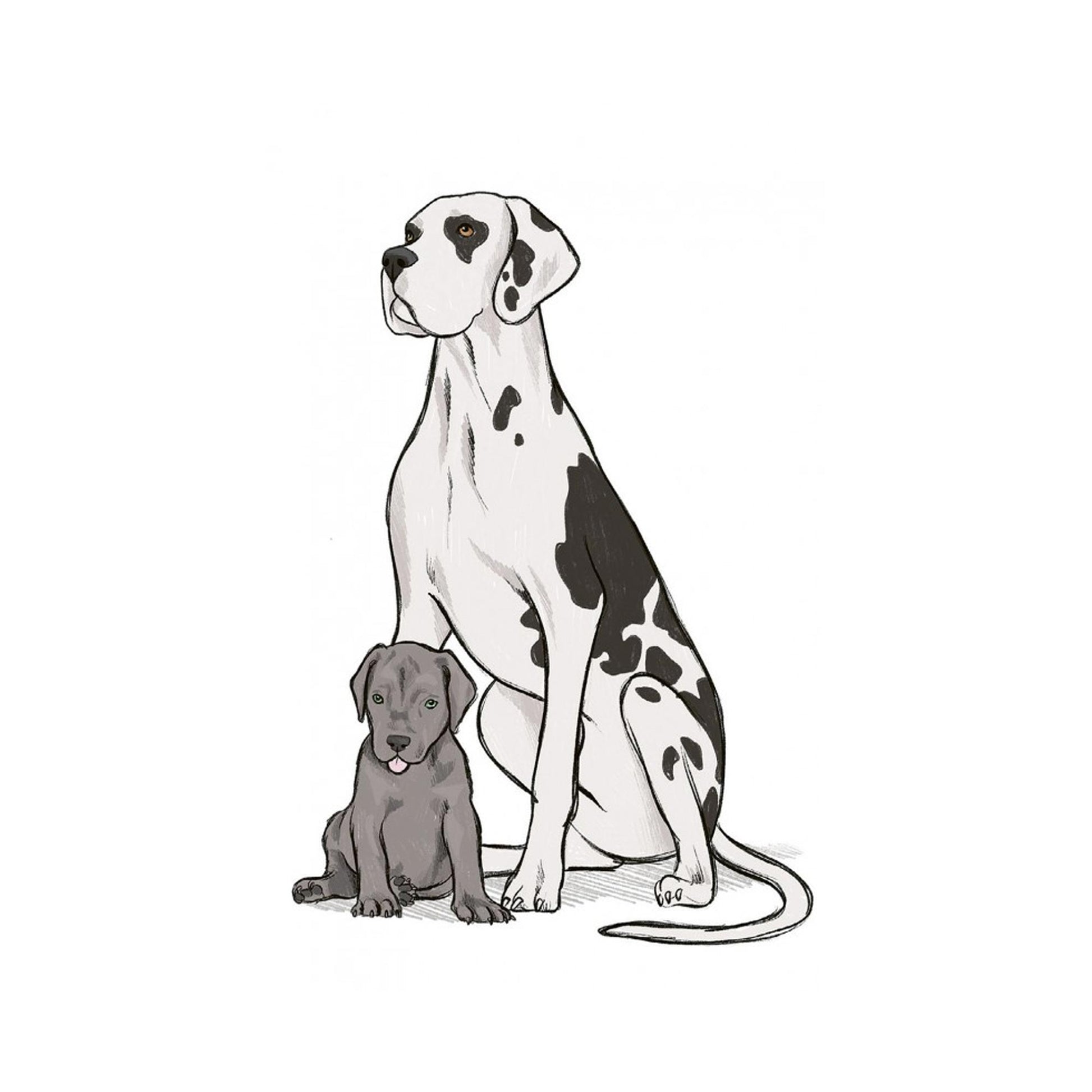 10 Step Drawing: Dogs - J. Lecouffe - Sample Illustration