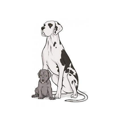 10 Step Drawing: Dogs - J. Lecouffe - Sample Illustration