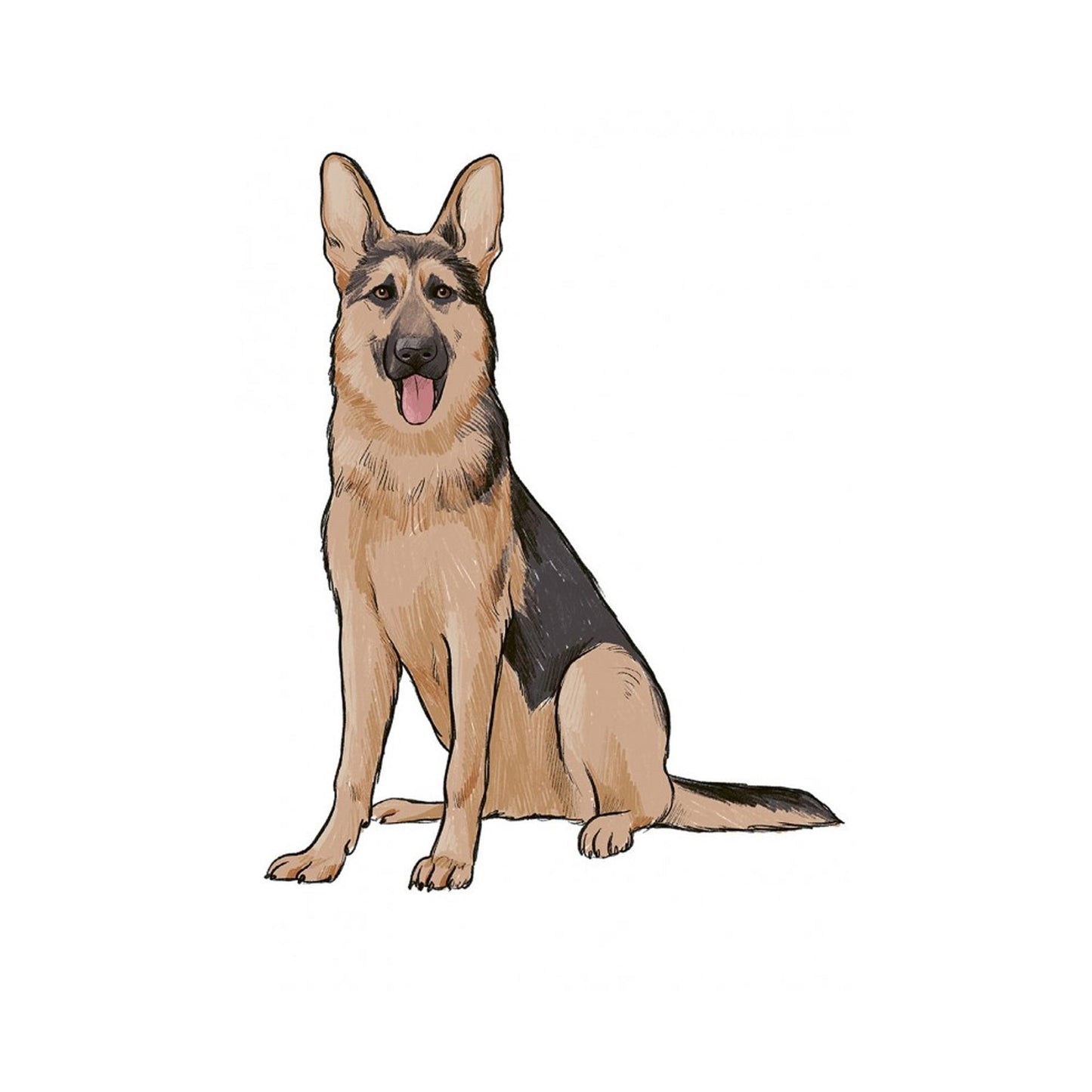 10 Step Drawing: Dogs - J. Lecouffe - Sample Illustration