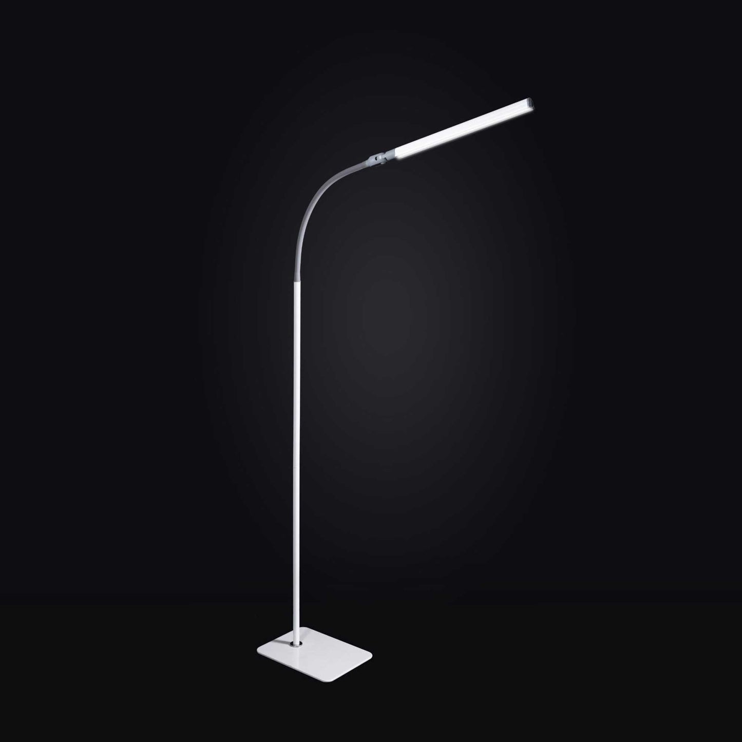 Daylight Company Uno Pro Floor Lamp against a dark background