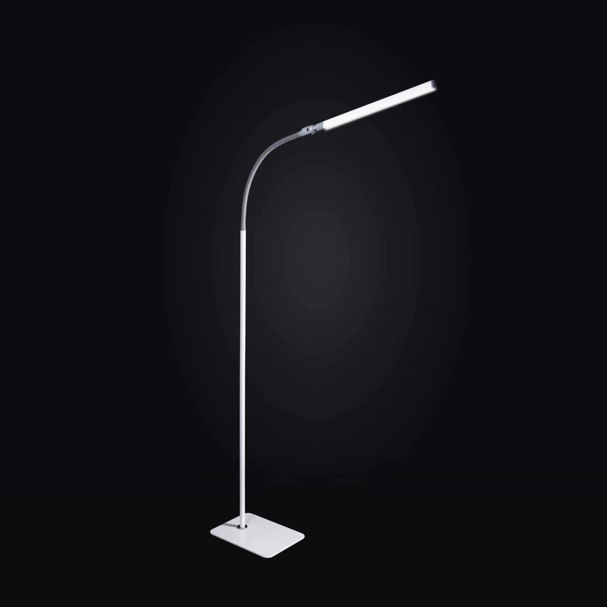 Daylight Company Uno Pro Floor Lamp against a dark background