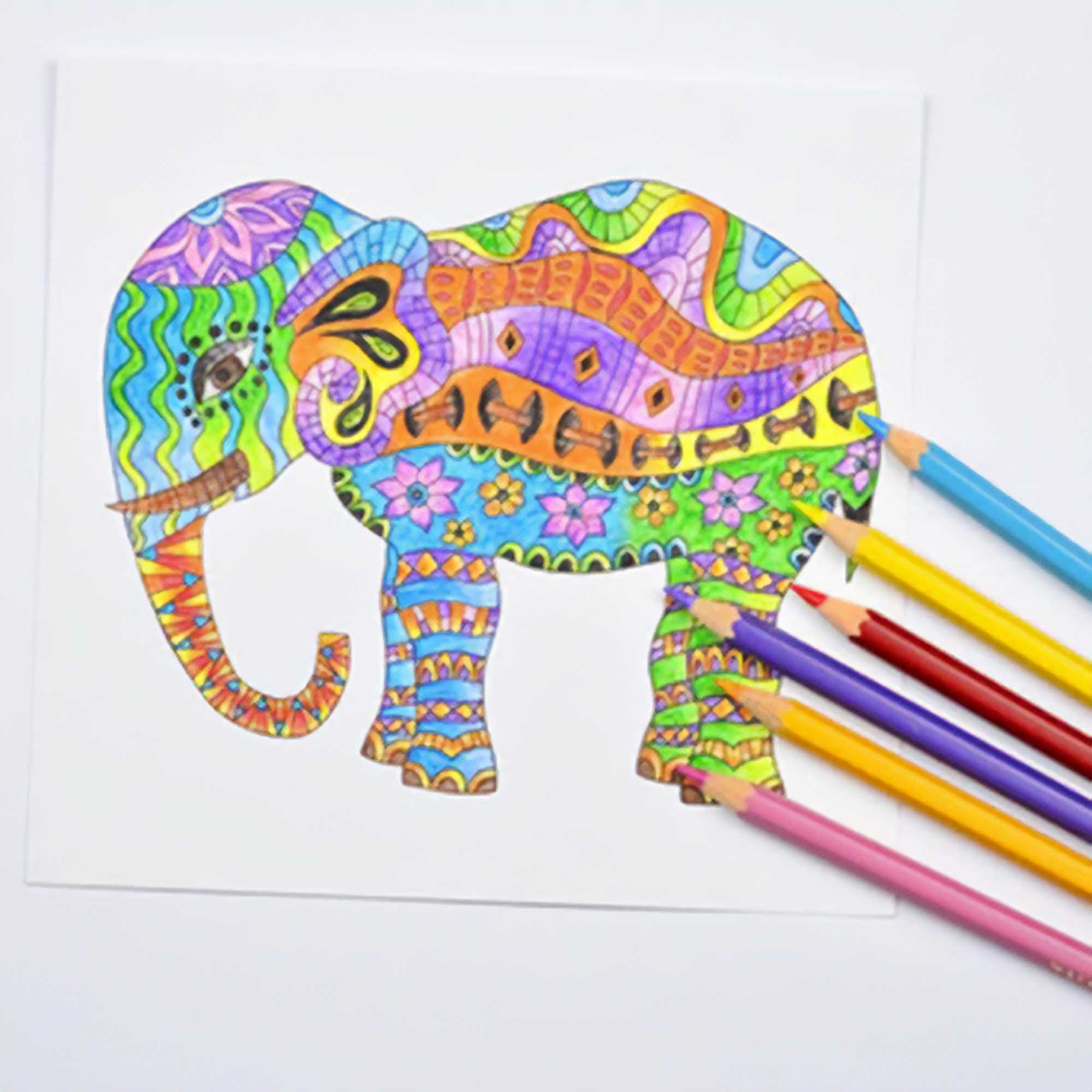 Pentel Arts Colour Pencils - Sample illustration of an elephant