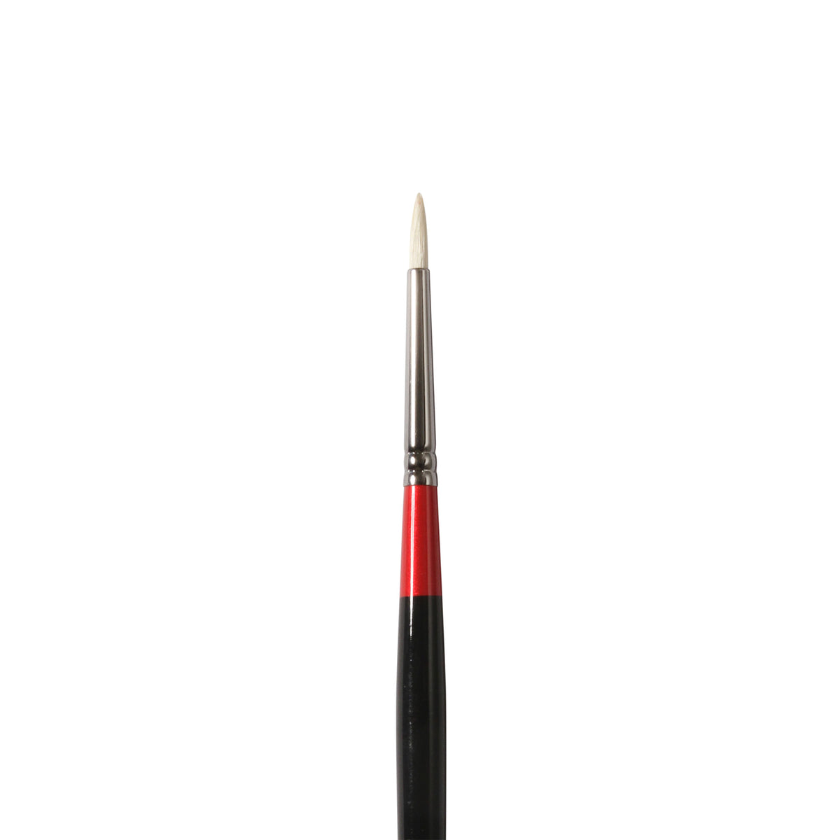 Georgian Round Brushes G24
