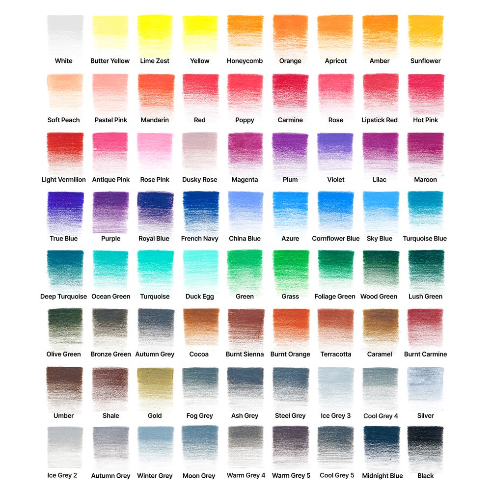 Winsor & Newton : Studio Collection : Colour Pencil : Tin of 72