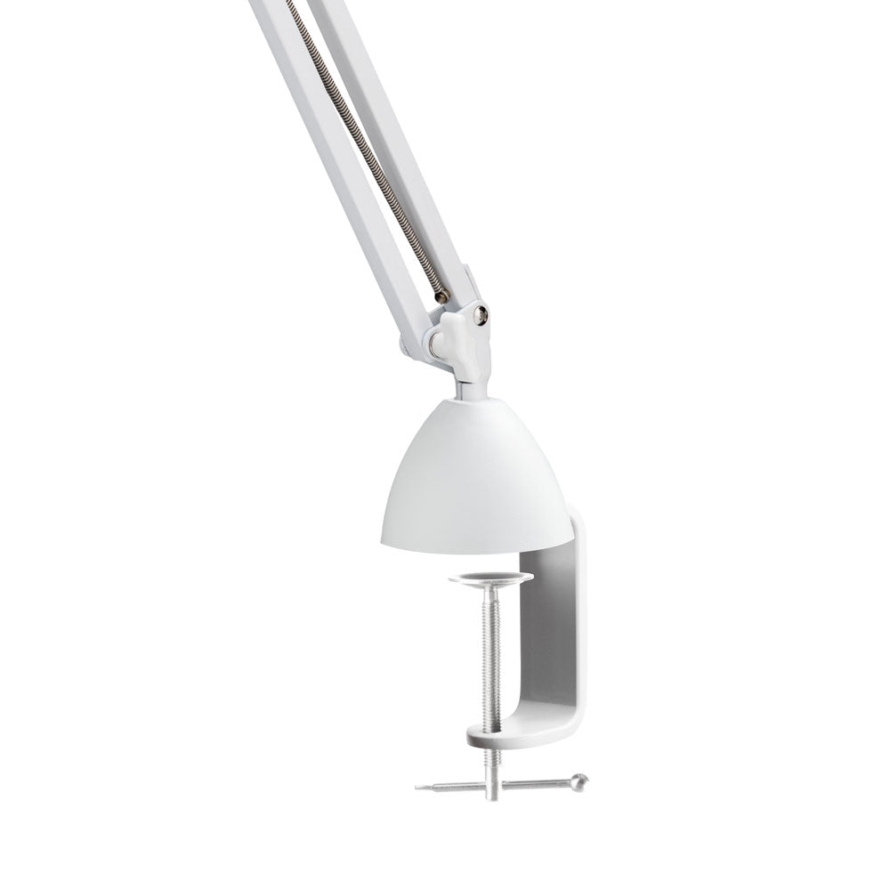 Daylight Lighting : Mag Lamp : Small
