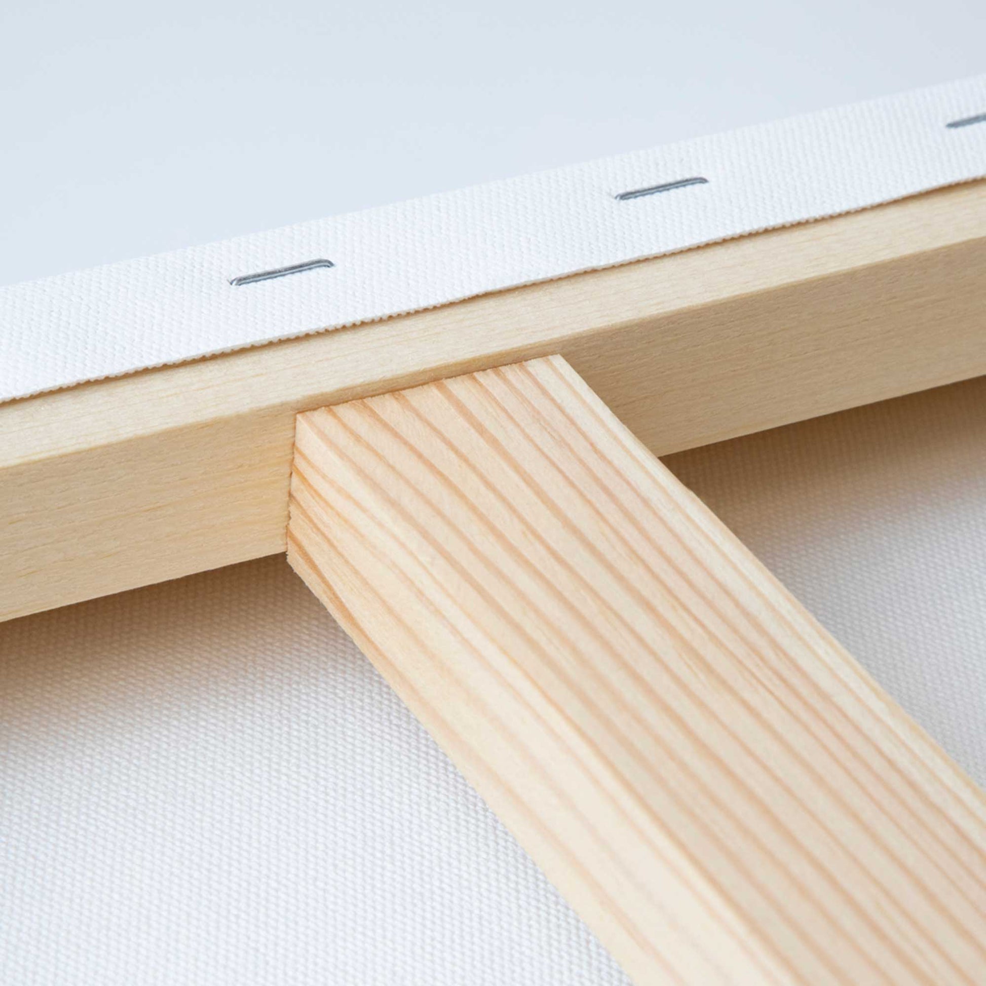 Liquitex Recycled Stretched Canvas - Traditional - Back closeup