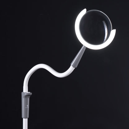 Daylight Company Magnificent Pro – 3-in-1 Magnifying Lamp with flexible neck and LED light.