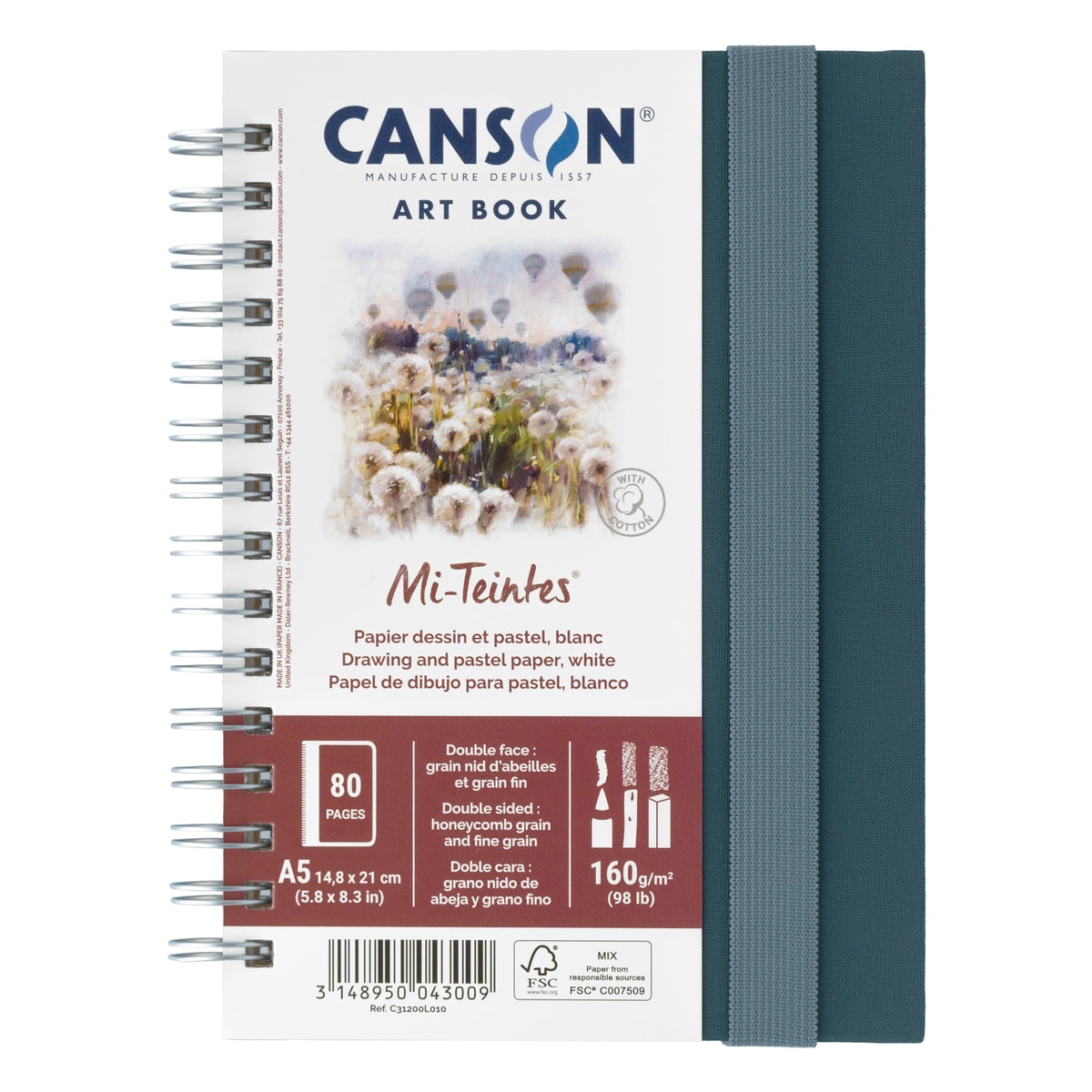 Canson Mi-Teintes Art Book - 160gsm - 80 Sheets - A5