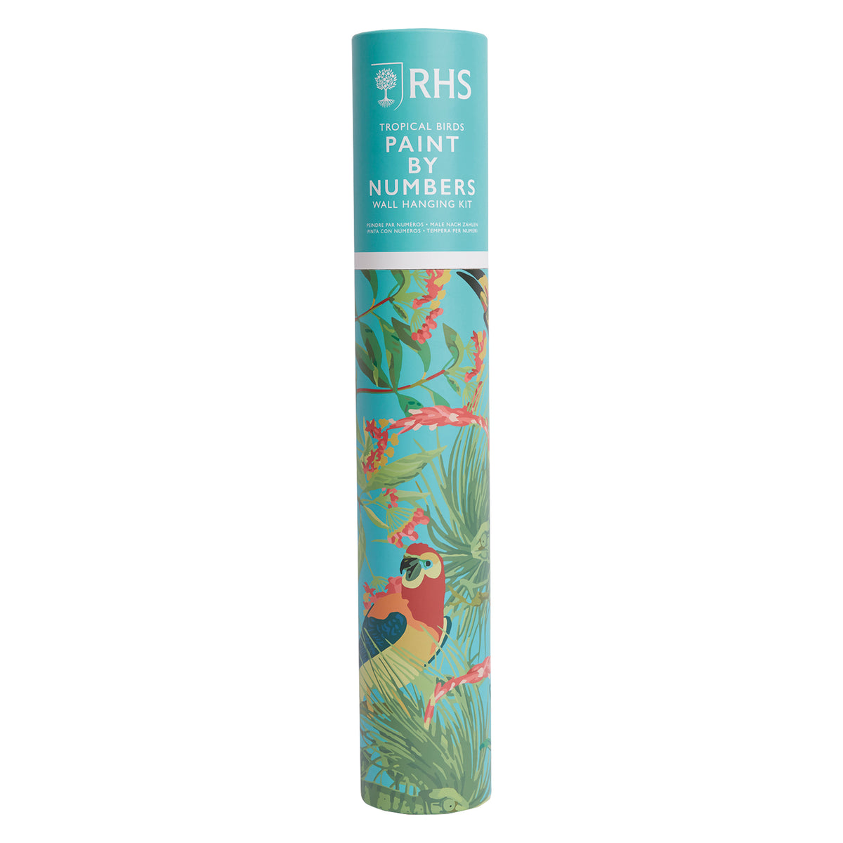 RHS Paint by Numbers Wall Hanging Kit - Tropical Birds - Packaging