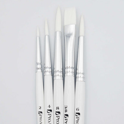 Pro Arte Polar Brush Set 31WB - Closeup