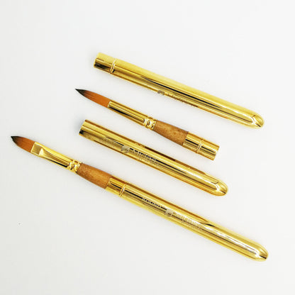 Pro Arte Midas Brushes