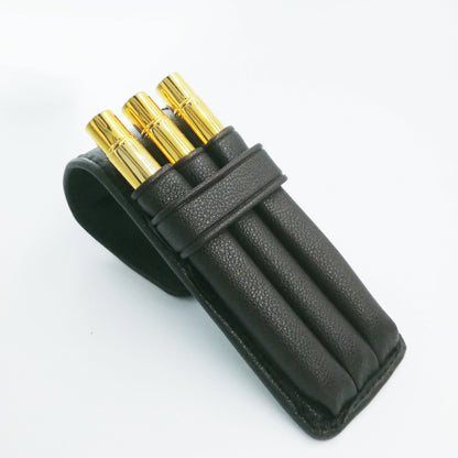 Pro Arte Midas Brushes in Case