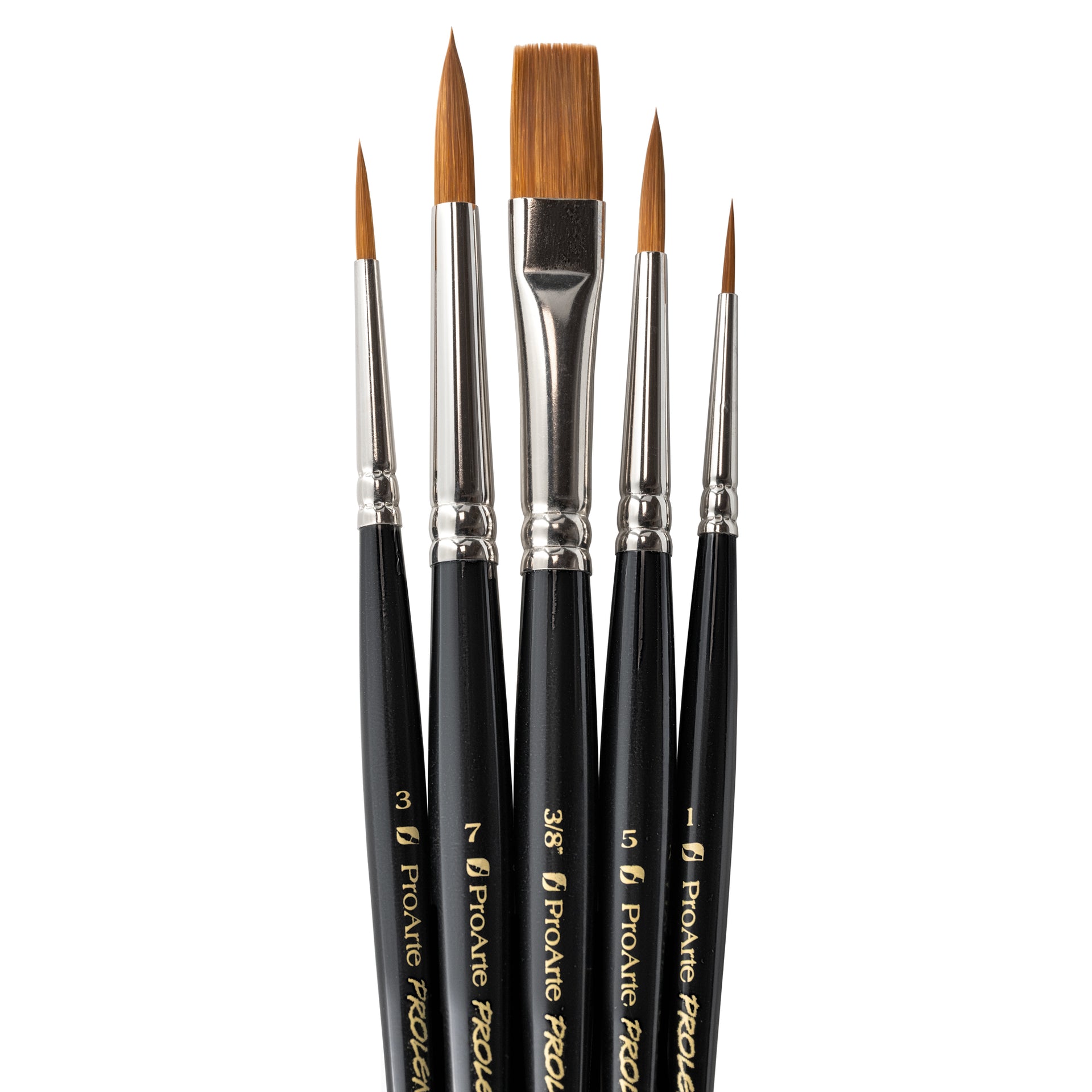 Prolene Brush Set 5 W3