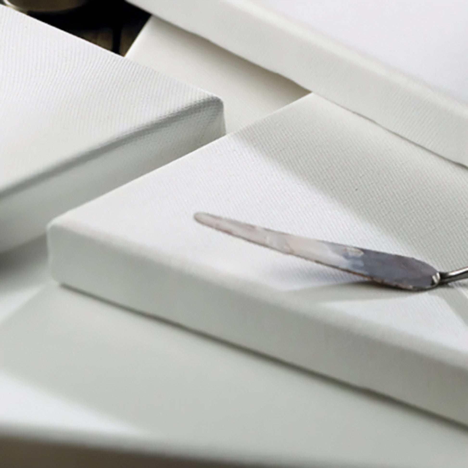 Winsor & Newton PROFESSIONAL Deep-Edge Profile Traditional Cotton Canvases - Mood Image