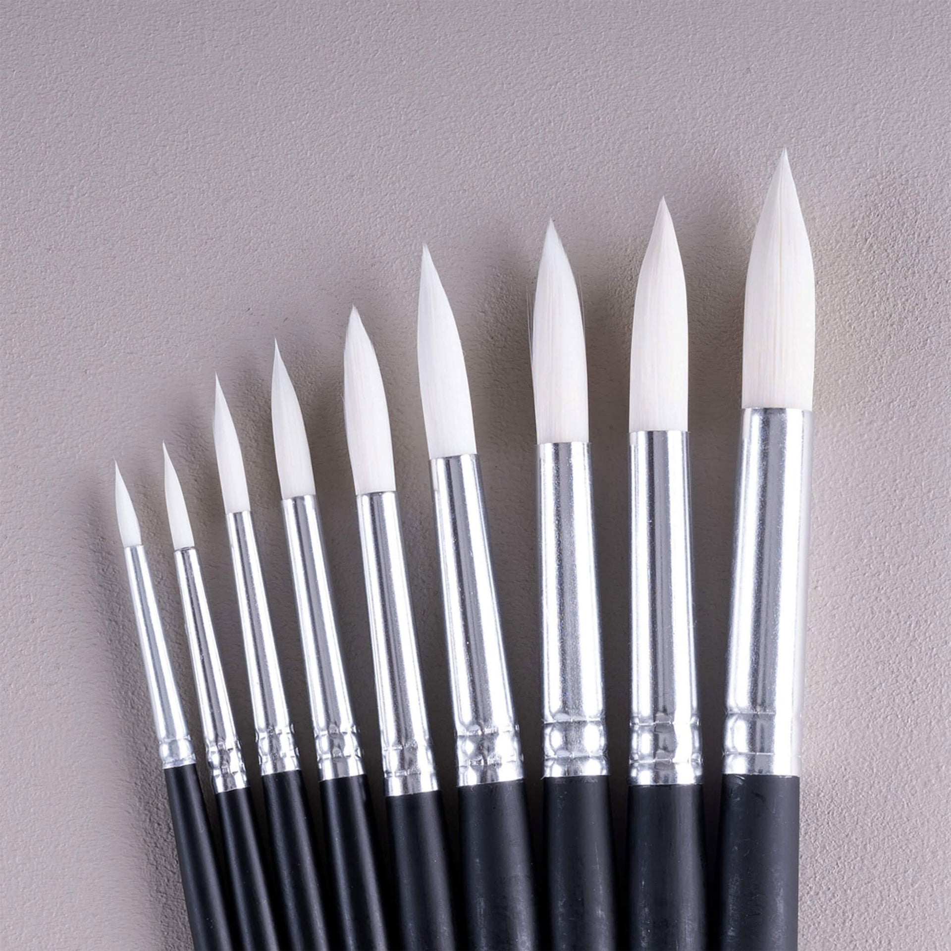 School Brushes Packs 10 Round