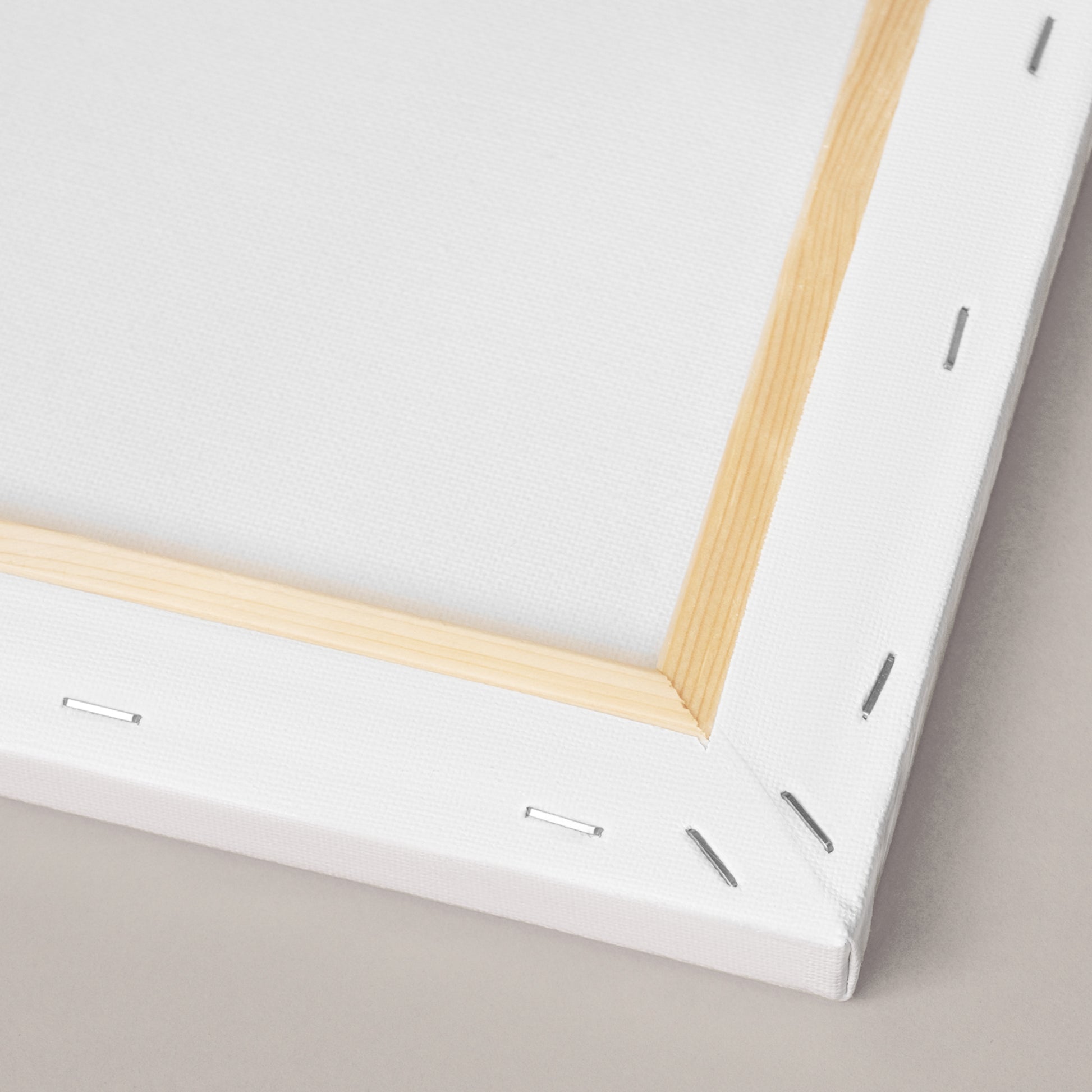 Seawhite Student Canvases for Oils & Acrylics - 280gsm - 16 x 20 inches 