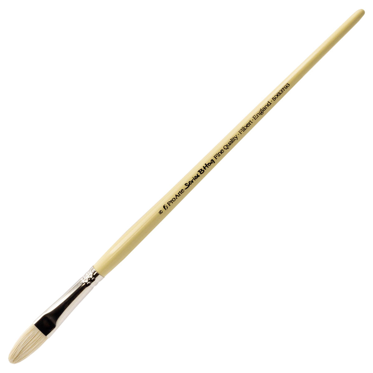 Series B Hog Brushes Filbert