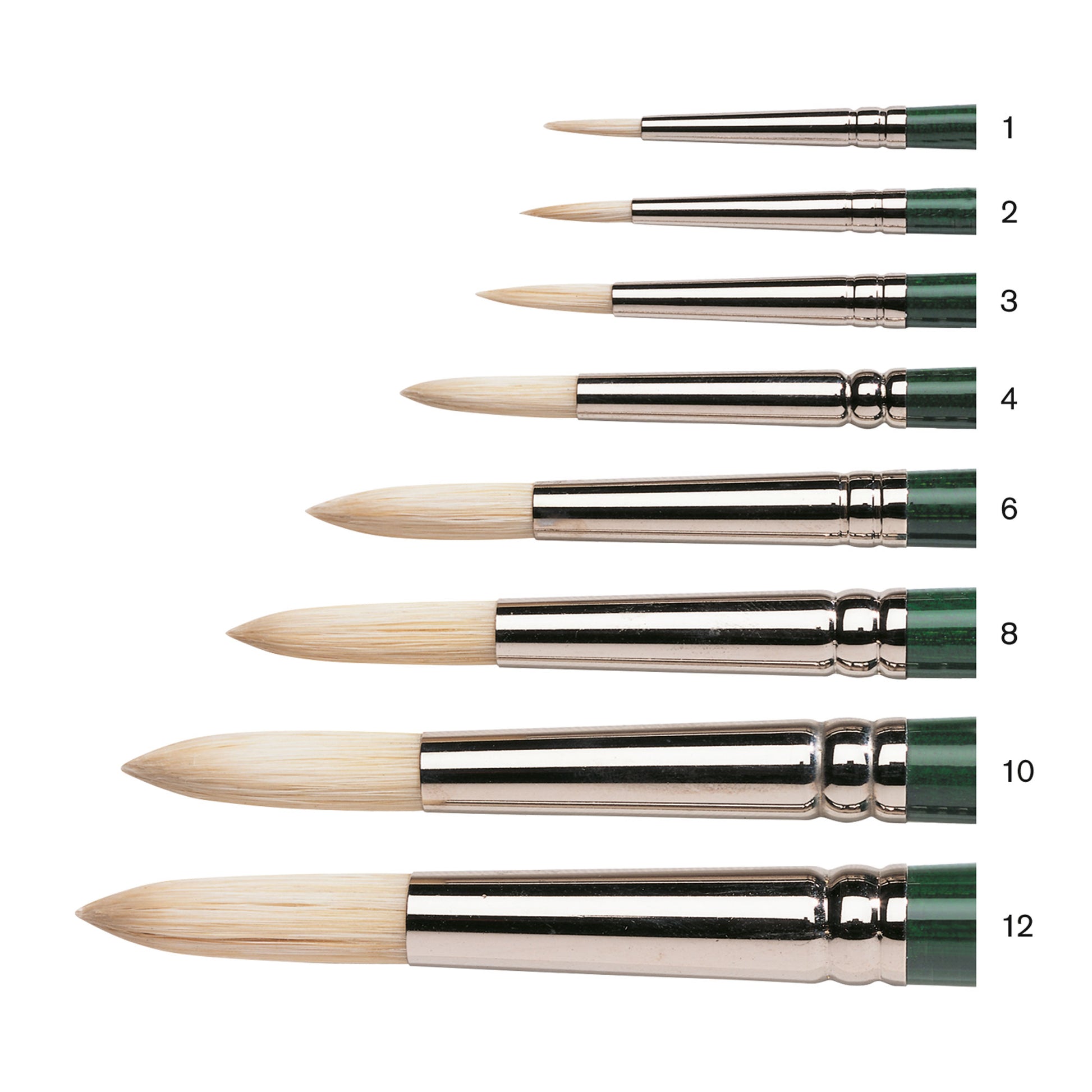 Winsor & Newton Winton Long Handled Hog Brush - Round - All sizes closeup