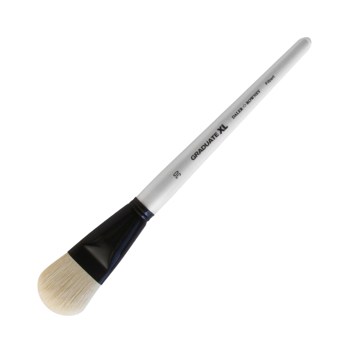 Daler-Rowney Graduate XL White Bristle Filbert Brushes - Size 30