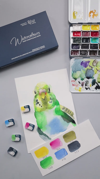 Rosa Gallery Watercolour - 14 x Whole Pan Tin Set - Portrait