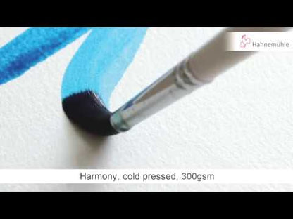 Hahnemühle 'Expression' Watercolour Blocks - Cold Pressed - 20 Sheets - 300gsm