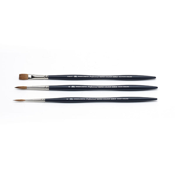 WINSOR AND NEWTON PROFESSIONAL WATERCOLOR SABLE BRUSHES