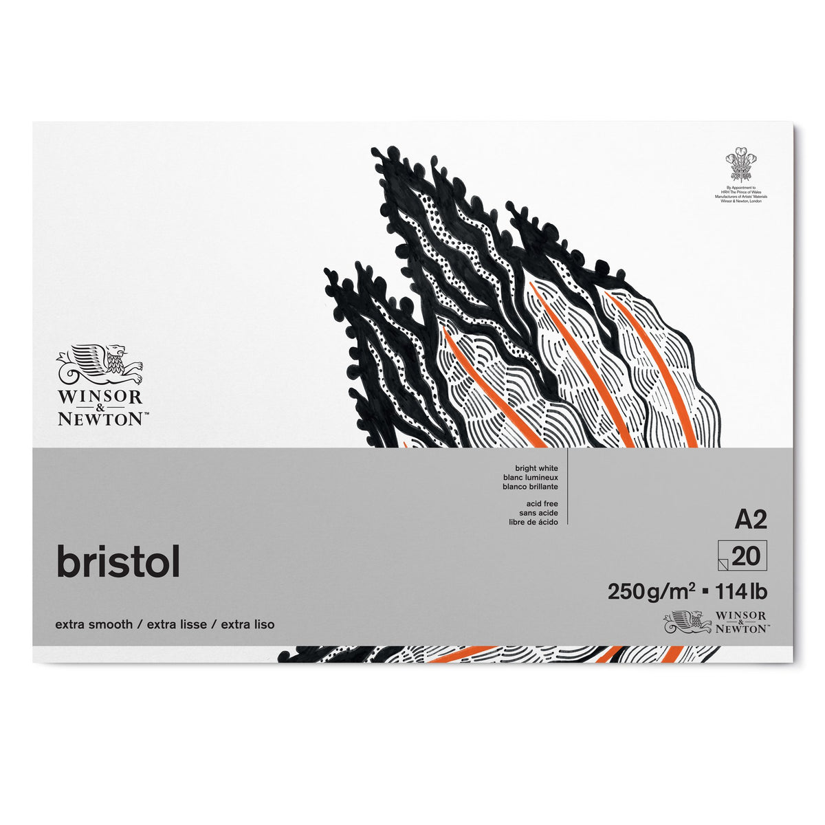 NEW Winsor & Newton Bristol Board